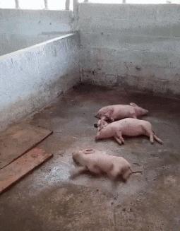 看完笑的腮帮发酸的二十六张图（9998714）