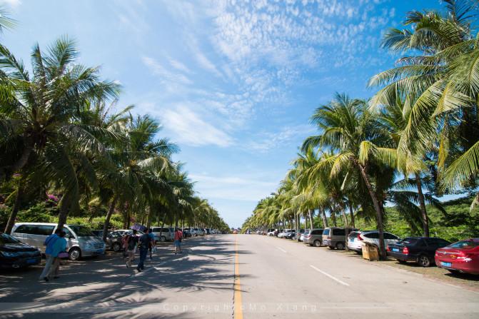 和父母的三亚之旅,带着爸妈去海岛旅游