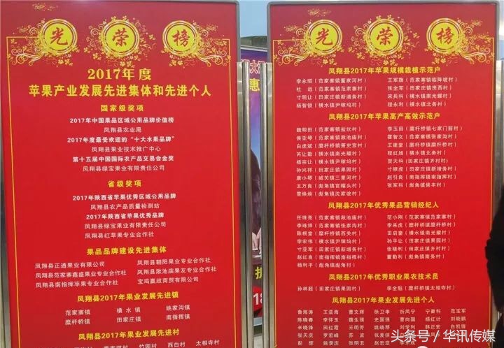 陕西凤翔苹果品种,陕西凤翔特产苹果