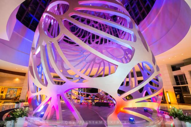 和父母的三亚之旅,带着爸妈去海岛旅游