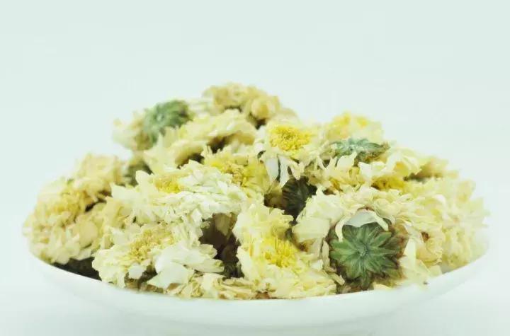 四大名菊之首,四大名菊墨菊