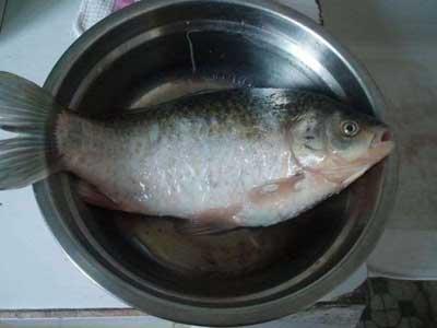 炖鱼时要想鱼汤奶白鲜香,清炖鱼怎么炖鱼汤才会白色