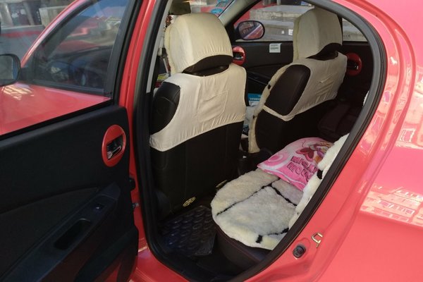 单亲妈妈买车真实感受,单亲家庭买车