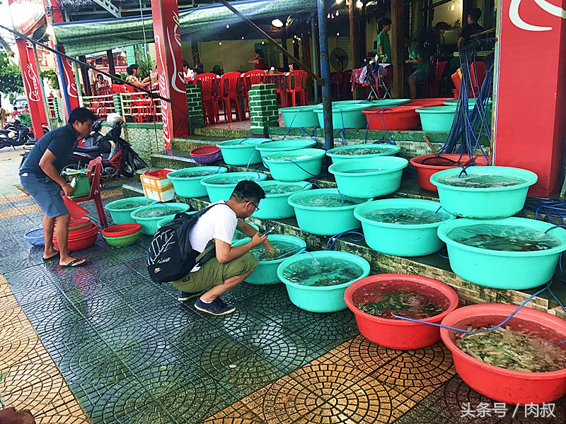 越南岘港美食篇：让你无法抗拒的那些生猛海鲜