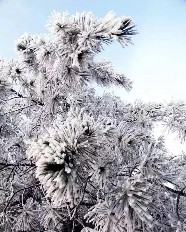 南国里的冰雪童话——连州