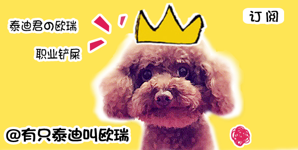 如果你厌倦猫咪平常的模样,就快点把它改造成爆笑的豆豆龙吧