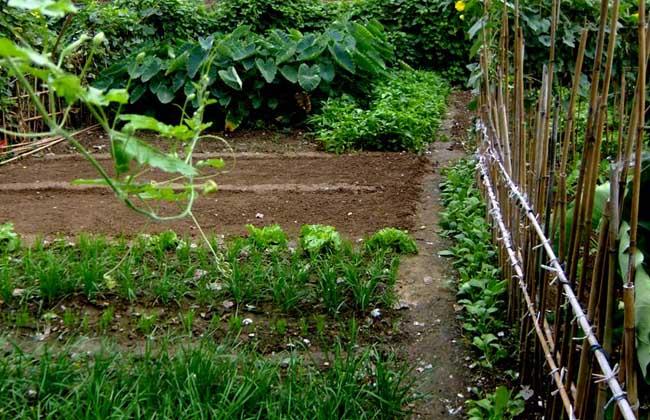 女大学生白手起家创业点子,家庭致富小项目白手起家创业点子