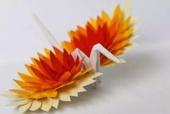 他用3个月时间，折叠了1000只千纸鹤，送给了他最亲爱的姑娘