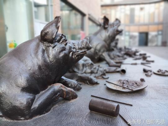 前置1600万像素最好的手机,前置1600w像素手机