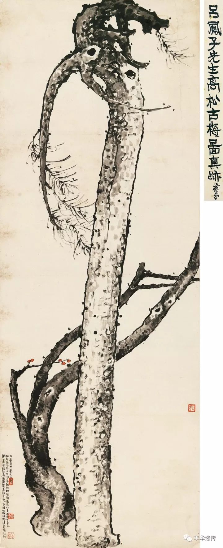 中国嘉德最新征集,中国嘉德国际拍卖