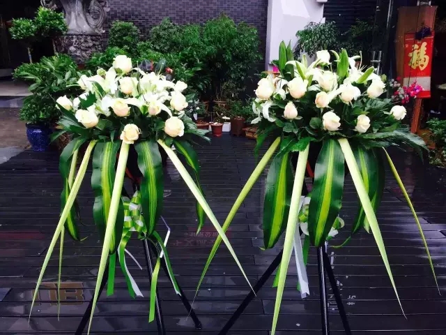 在贵州做个花房姑娘,打发慵懒时光!