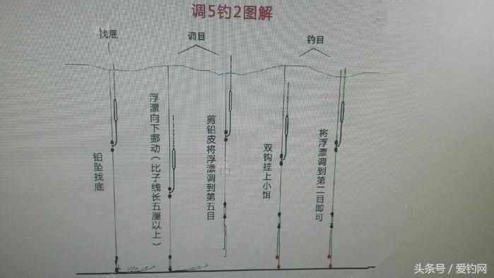 绑钩小技巧学会钓鱼不再难,怎样学绑钓鱼钩