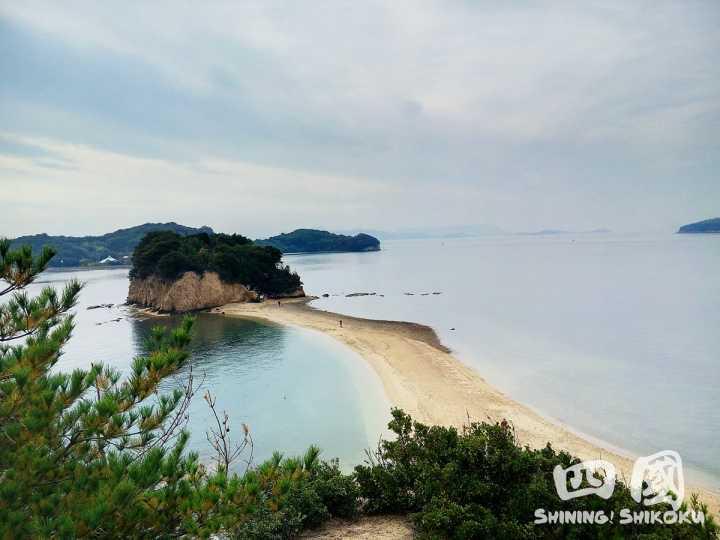 吃日料还是要去日本,吃日料送老字号