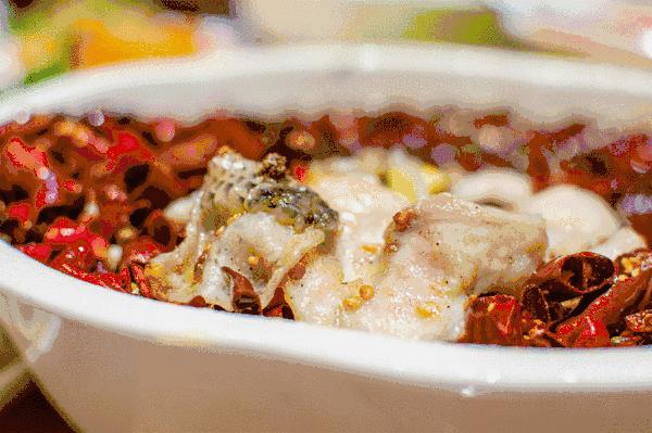 西北四城驾友带你尝鲜“鱼”味无穷