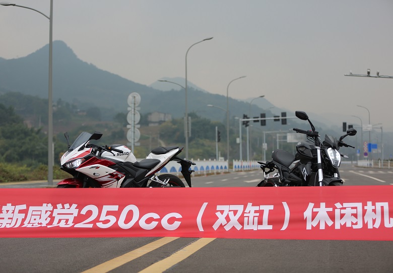 新感觉250双缸二手多少钱,新感觉双缸250摩托车推荐