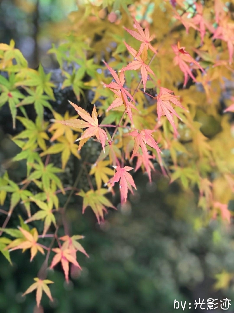 临安湍口众安温泉池,临安温泉湍口温泉测评