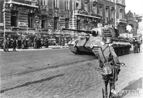 矢车菊凋谢在多瑙河畔：*党**卫军第22“玛丽亚·特蕾莎”骑兵师简史