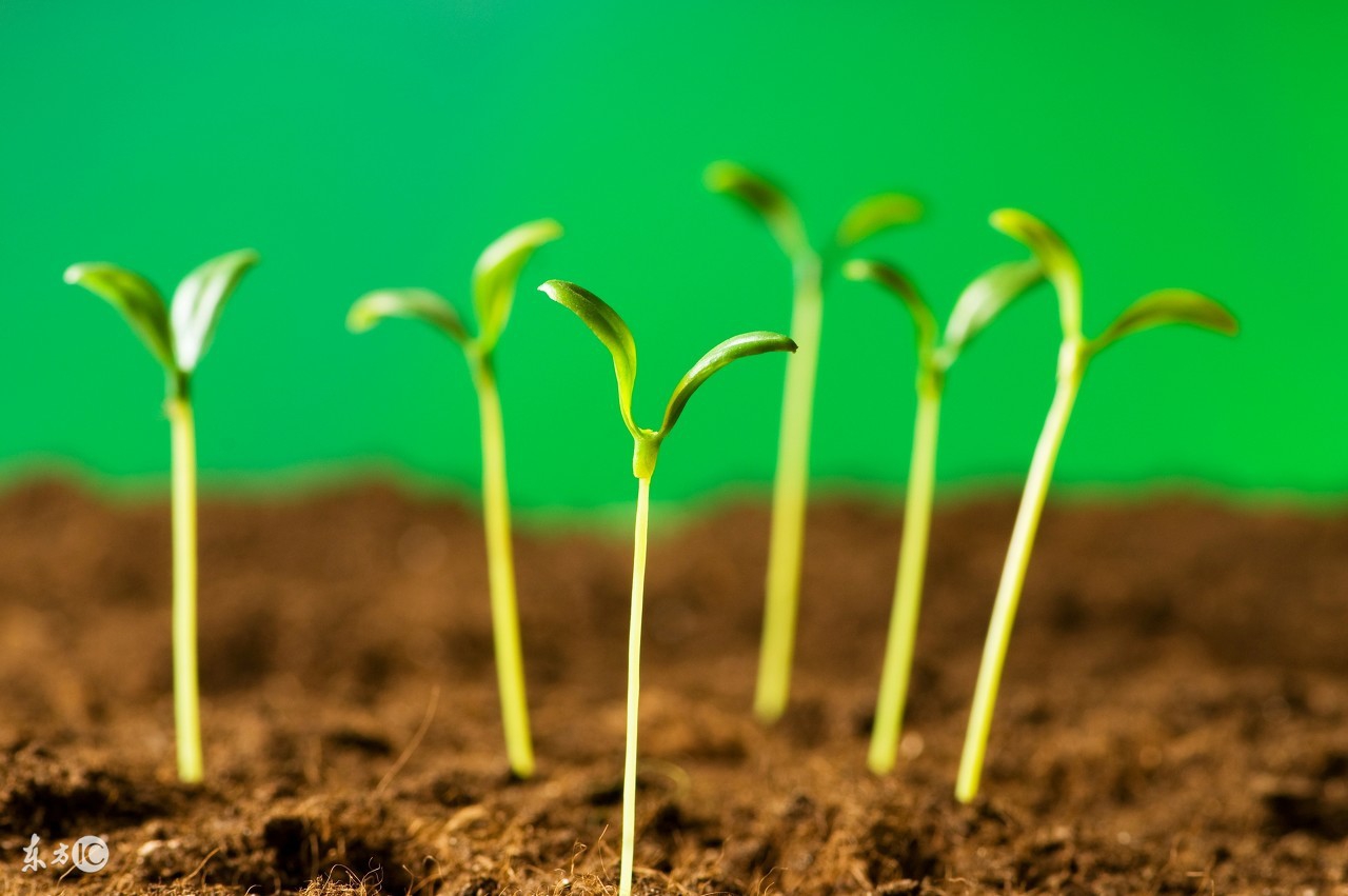 ios抢红包插件源代码,ios微信自动抢红包教程