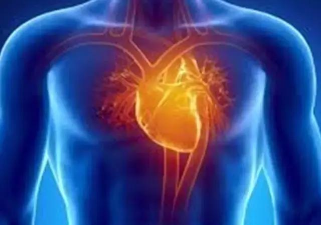 卵巢衰老还排卵吗,卵巢功能有衰退迹象怎么保养