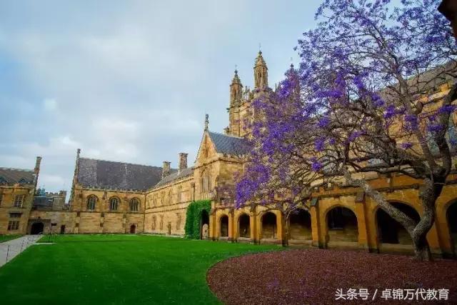 澳洲热门专业解析工程篇,澳洲商科就业比较好的专业有哪些