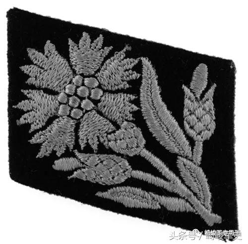 矢车菊凋谢在多瑙河畔：*党**卫军第22“玛丽亚·特蕾莎”骑兵师简史