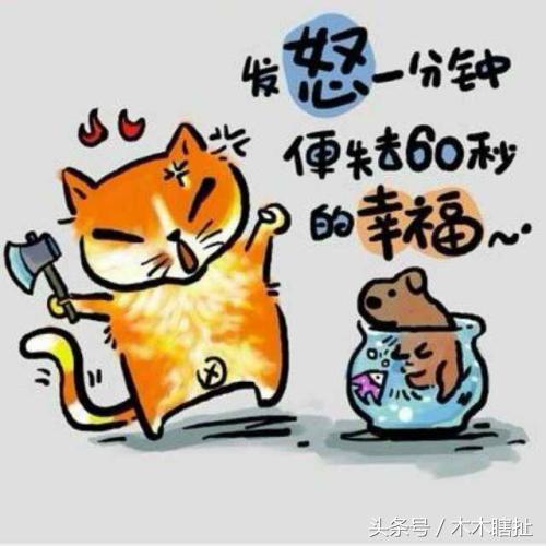 情绪越多越不成熟心理学,心理学内心不成熟的六大表现