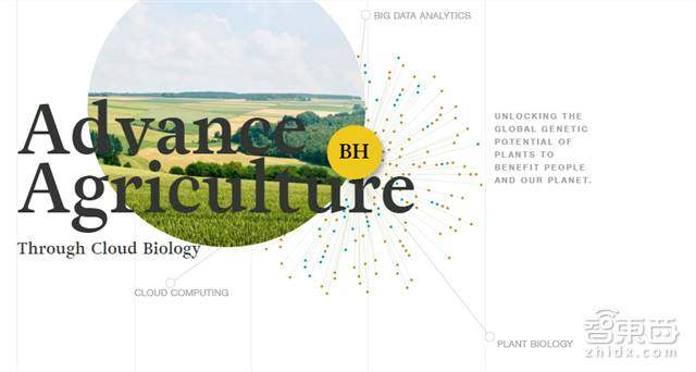 cbinsights统计初创公司失败原因,cbinsights行情