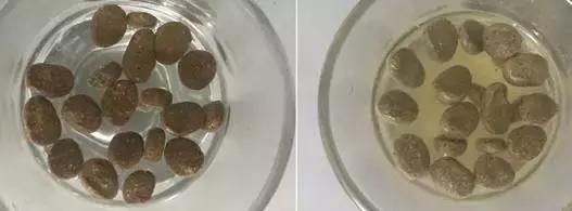 铲屎官们推荐一款便宜好狗粮,铲屎官猫粮测评