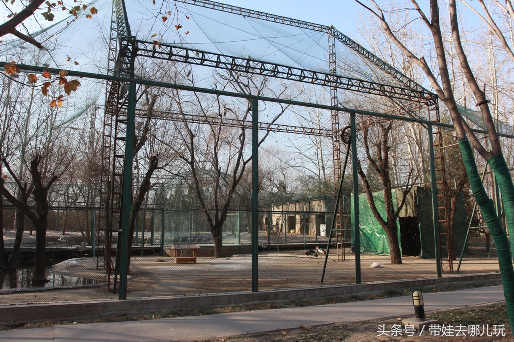 奥森附近小动物乐园,奥森公园世外桃源