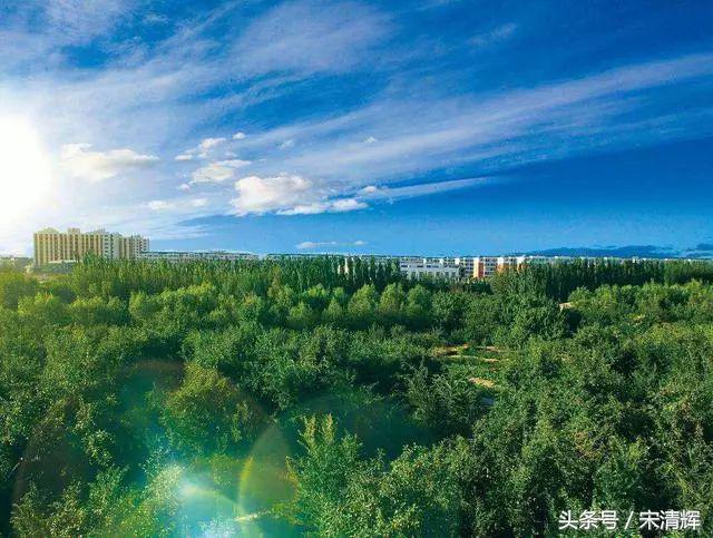 宋清辉投资安全吗,宋清辉江西哪的人