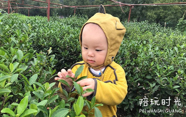 景美又不累的旅游,国庆带娃去这里景美人少