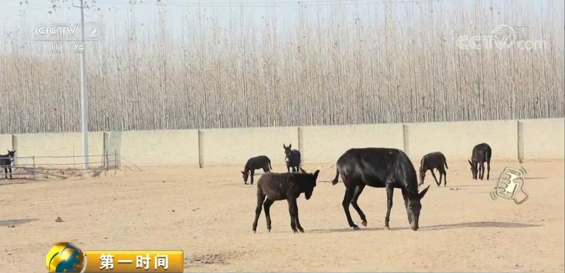 <html>
<head><title>502BadGateway</title></head>
<body>
<center><h1>502BadGateway</h1></center>
<hr><center>nginx</center>
</body>
</html>
<!--apaddingtodisableMSIEandChromefriendlyerrorpage-->
<!--apaddingtodisableMSIEandChromefriendlyerrorpage-->
<!--apaddingtodisableMSIEandChromefriendlyerrorpage-->
<!--apaddingtodisableMSIEandChromefriendlyerrorpage-->
<!--apaddingtodisableMSIEandChromefriendlyerrorpage-->
<!--apaddingtodisableMSIEandChromefriendlyerrorpage-->
