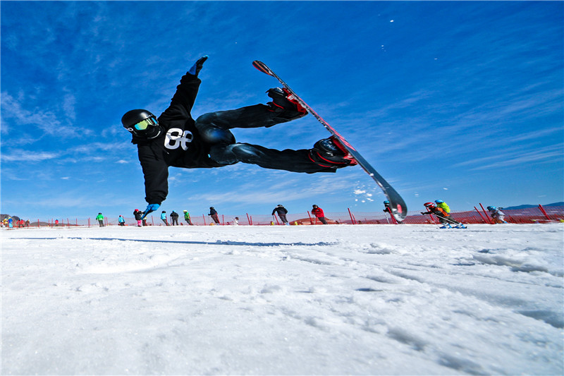 冰情雪趣绘画,冰情雪趣创意画