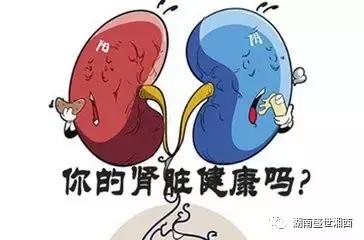 现代药理学表明杜仲具有三降「血压、血糖、血脂」、四抗、五护！