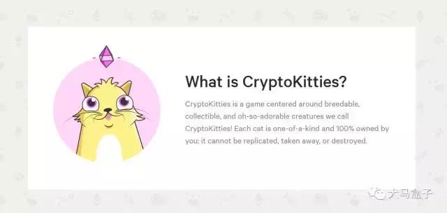 养一只电子猫好吗,电子猫真实存在吗