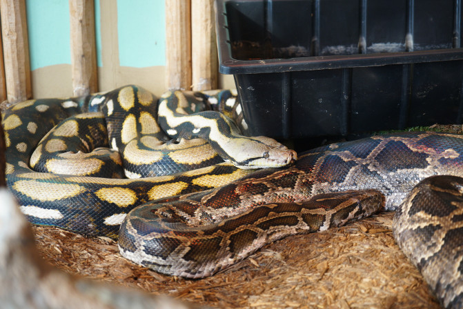 科罗拉多州到洛杉矶,科罗拉多州五月自驾