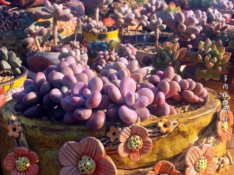 视觉盛宴美不胜收美图,视觉盛宴每个画面都美极了