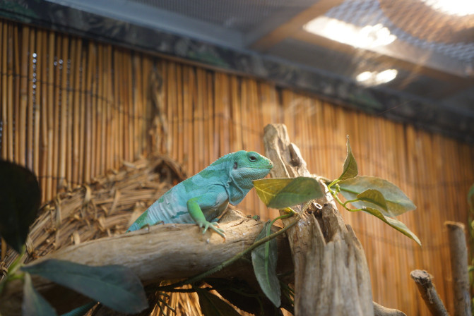 科罗拉多州到洛杉矶,科罗拉多州五月自驾
