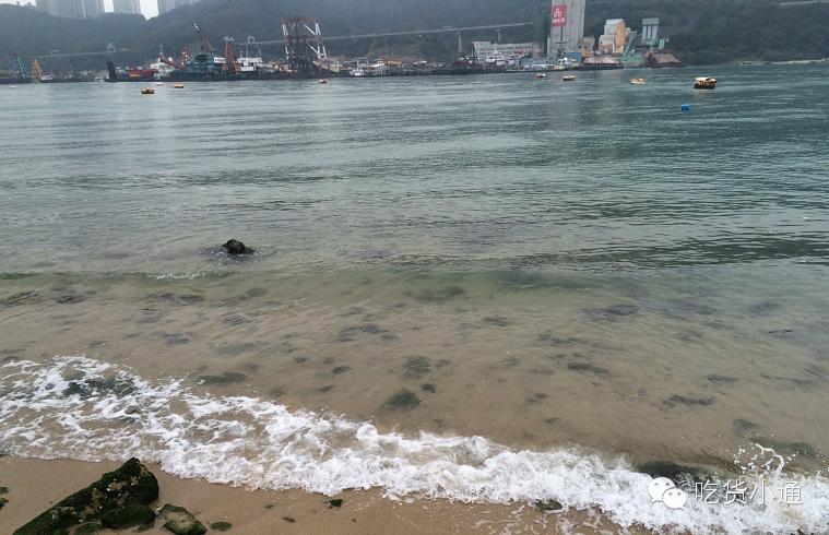 王菲梁朝伟的特辑,王菲梁朝伟特辑