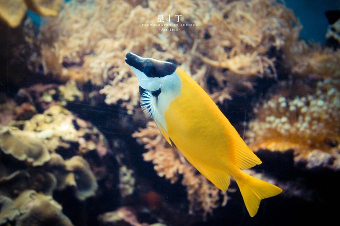 旅行大美,台湾旅游攻略垦丁