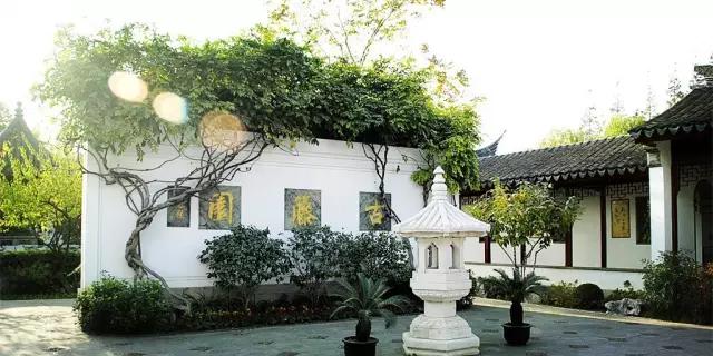 上海免费旅游景点,上海残疾人免费景点一览表