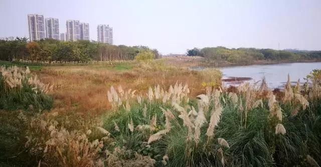 冬天成都两天来回得哪里去玩,成都3-5天短途旅游推荐