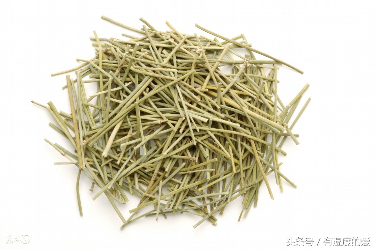 麻杏石甘散赛鸽,麻杏石甘散怎么给鸽子投喂