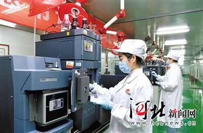 「牢记总书记嘱托」旗帜乳业：质量精进，每一天都在努力