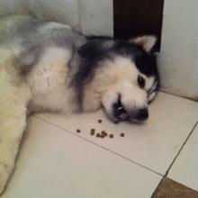 初学者怎样买整套化妆品,新手第一步先买什么化妆品