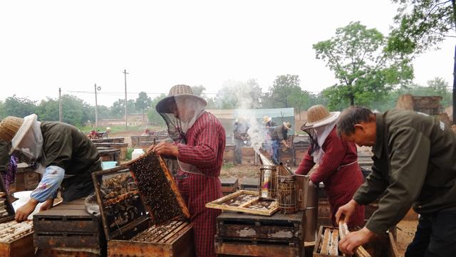 为什么正宗的好蜂蜜这么难卖,超市买的蜂蜜为什么不结晶