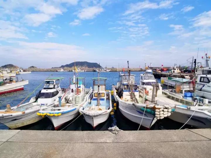 中北部升龙道深度游攻略,日本龙岛旅游攻略