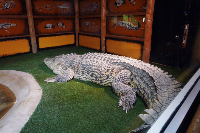 科罗拉多州到洛杉矶,科罗拉多州五月自驾