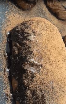 脏脏包网红食物测评,网红脏脏包里面没有爆浆