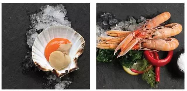 海鳌虾极品刺身,新西兰最好吃的海鳌虾